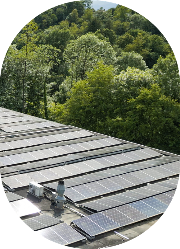 Solar panels on the roof of Microsphere's pharmaceutical research and manufacturing facility, a forest is present in the background.